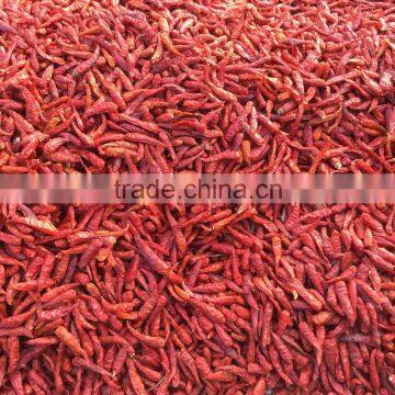 Vietnam Dried Red Hot Chilli photo-3