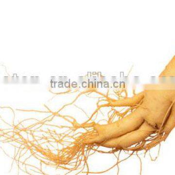 Ginseng Root Extract Ginseng Capsules OEM photo-2