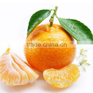 Nature Pure Citrus Aurantium Extract