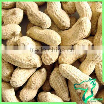 2016 Top Qualit Peanut In Shell Factory Price