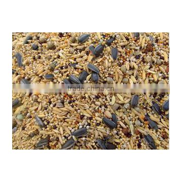 White Striped Sunflower Seeds Bird Seeds Meal