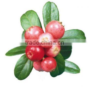 anti-aging the king of VC 100% pure organic rosehip oil