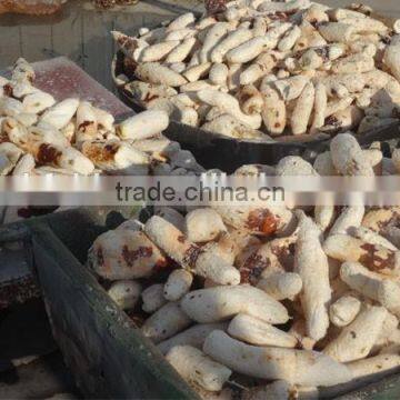 Automatic Cassava Peeling and Washing Machine photo-6