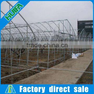Extruding Plastic Modling Type Single Span Agriculture Greenhouse photo-4