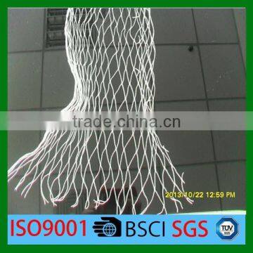 HDPE Anti-bird net protect the fruit