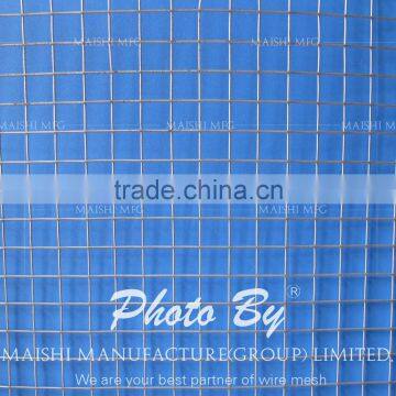 50x50mm Welded Wire Mesh photo-6