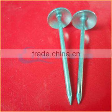 Top Quality Umbrella Head Twisted Roofing Nails Trusted Chuanghe Suppliers From Com photo-2