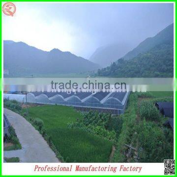Plastic Film Commercial Greenhouses for Sale With Arched Type photo-4