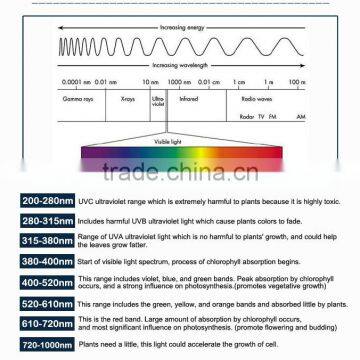 540w Mcob Plant Grow Light Lamp for Greenhouse, Hydroponics, Greenhouse, Ideal to Replace the 1000w Hps,hid photo-6