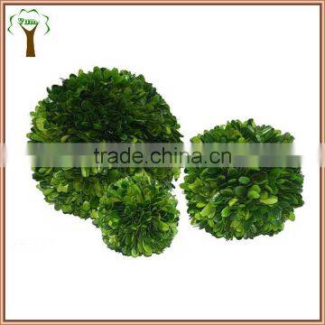 decorative table preserved boxwood ball