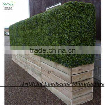 SAS016013 Plastic Cheap Artificial Boxwood Hedge photo-6