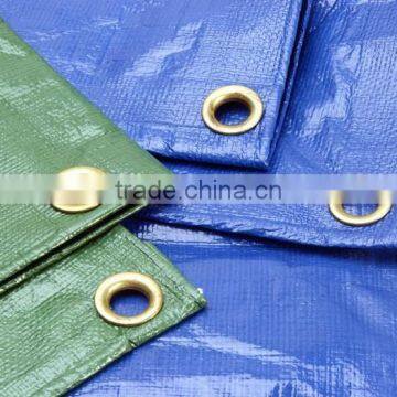 Greenhouse Floor Covering photo-5