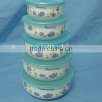 reoona enamel storage bowl food container