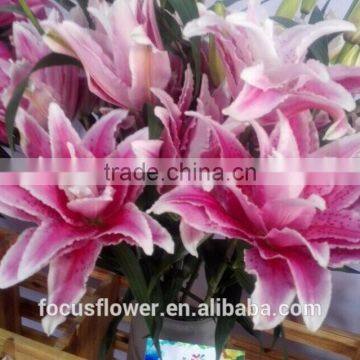 Artificial Easter Double Llily Flower photo-2
