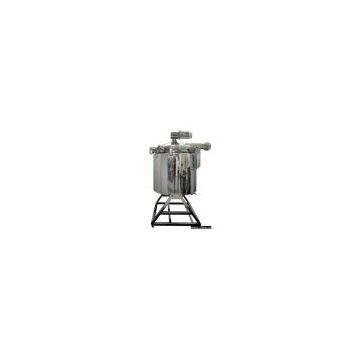 Chemical Reactor