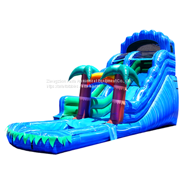 Inflatable Slip and Slide Inflatable Water Slide Axs-15 photo-5