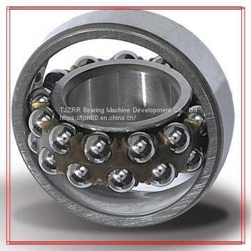 SKF 1204 ETN9 Self Aligning Ball Bearings