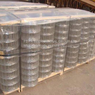 PVC COATED WELDED WIRE MESH photo-5