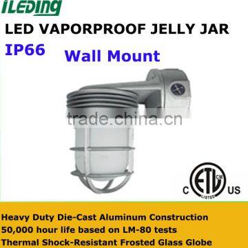 Weatherproof Industrial Metal Cage Bulb Protector Wall Mount Light Fixture