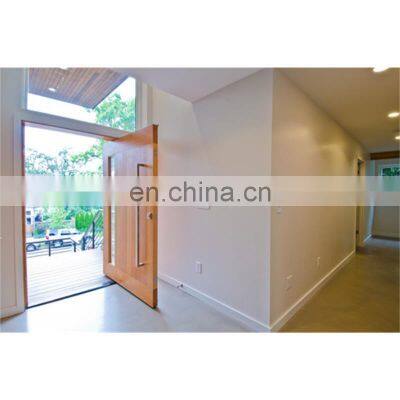 Revolving Hinges Modern Designs Exterior House Front Entry Wood Pivot Door