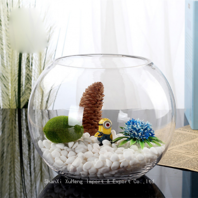 Ecological Turtle Cylinder Aquarium Glass Fish Tank Vase Air Plants Sand and Pebbles Small Glass Terrariums For Plants photo-2