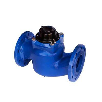 Manufacturer Direct Sales Cast Steel Water Meter Screw Wing Water Meter photo-2