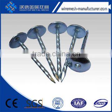 super quality factory price twist umbrella roof nail