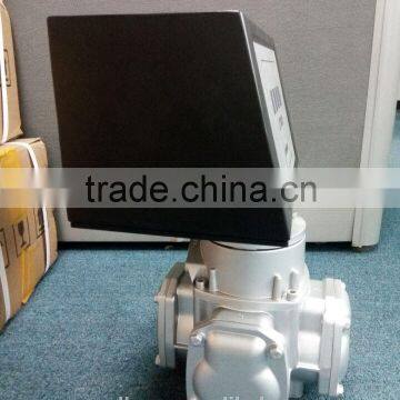 Flow Meter With Mechanical Counter( for Fuel Dispenser in Gas Station)