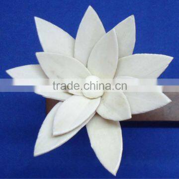 Flower for Decoration