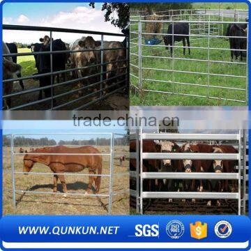 qunkun Australia / New zealand Hot sale portable horse cattle yard panel fences