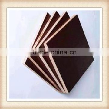 Chinese paulownia plywood for making furniture