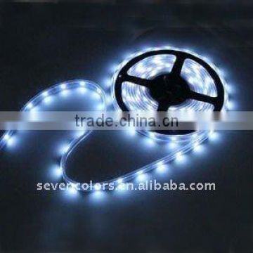 IP67 White LED Rope light (SC-D113D)