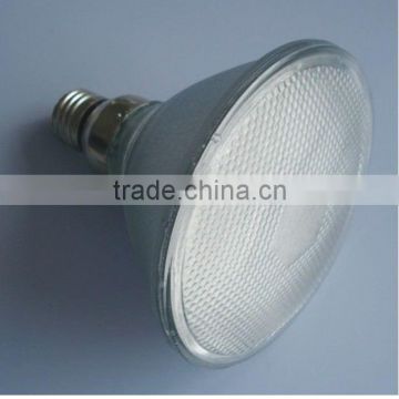 LED Light(LED lamp, LED light bulb)PAR38