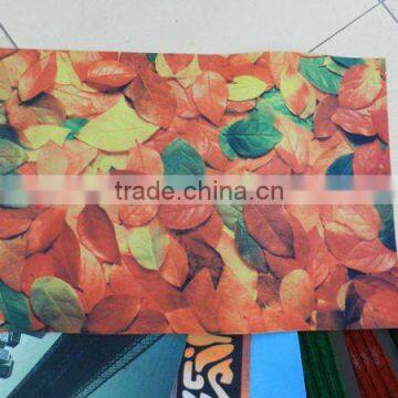 printed entrance door mat/A variety of color