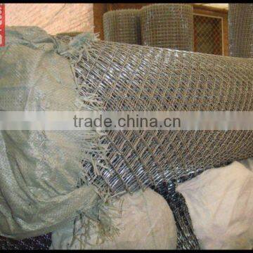 Hot sale Galvanized chain link fence(Manufacturer))