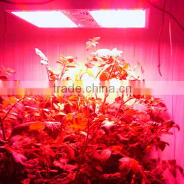 Alibaba wholesale high lumen indoor 1000w led grow panel