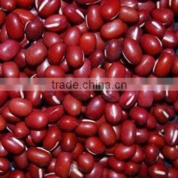 China Small Red Beans for Sale