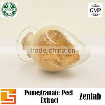 Pomegranate Plant Extract Powder With Pomegranate P.e
