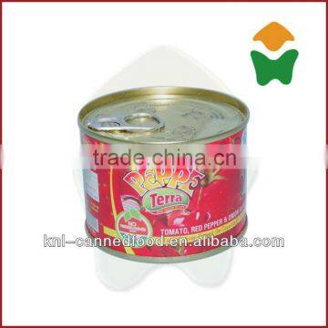 High Quality Tomato Paste Production 210gx48tins photo-1