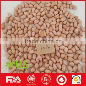 Red Skin Peanut Kernel With Cheap Price photo-4