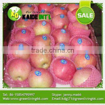 fresh red delicious apple from China