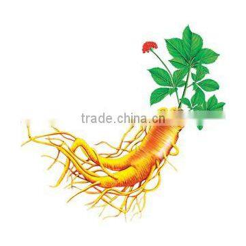 Ginseng powder