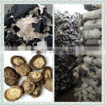 Dried white back black fungus dried mushroom