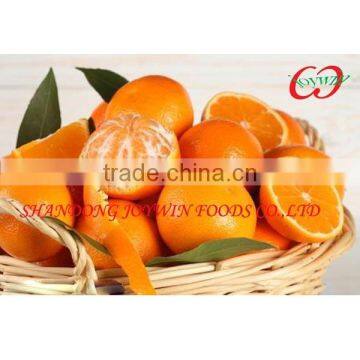 Canned mandarin manufacturer 425ml/850ml/3100ml