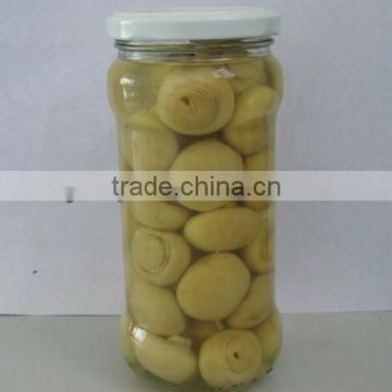 2016 new crop canned champignon mushroom