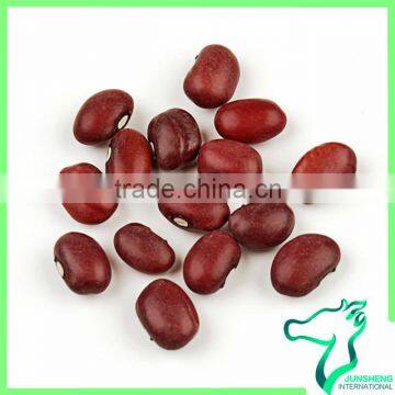 High Quality Small Square Red Kidney