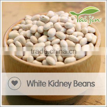 White Haricot Beans 500-550pcs/100g white navy beans