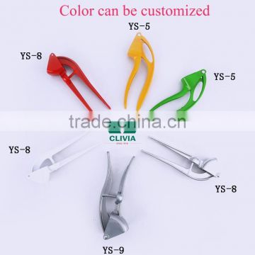 Garlic Press Black Garlic Seeds photo-3