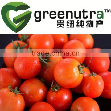 lycopene powder