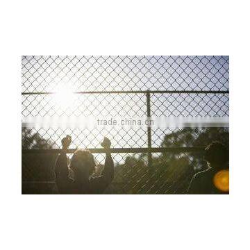 Good Price Chain Link Fence Netting photo-2